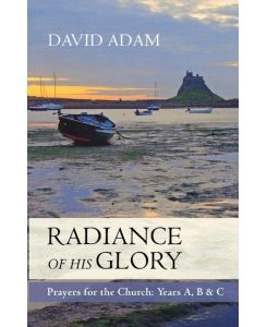 Radiance of His Glory - Prayers for the Church Years A, B and C - David Adam