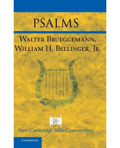 Psalms - Walter Brueggemann, W. H. Bellinger Jr, William H. Bellinger Jr