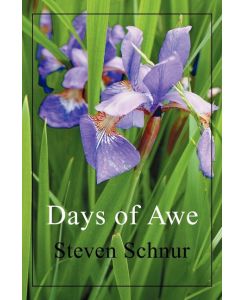Days of Awe - Steven Schnur