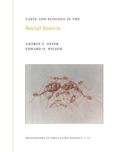 Caste and Ecology in the Social Insects - George F. Oster, Edward O. Wilson