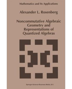 Noncommutative Algebraic Geometry and Representations of Quantized Algebras - A. Rosenberg