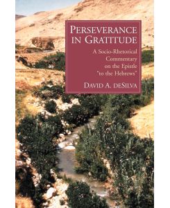 Perseverance in Gratitude A Socio-Rhetorical Commentary on the Epistle 