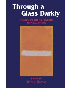 Through a Glass Darkly Essays in the Religious Imagination - John C. Hawley