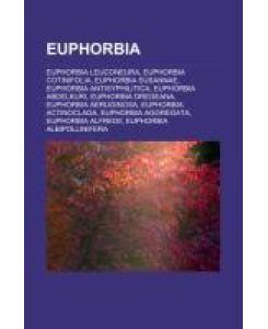 Euphorbia Euphorbia leuconeura, Euphorbia cotinifolia, Euphorbia susannae, Euphorbia antisyphilitica, Euphorbia abdelkuri, Euphorbia dregeana, Euphorbia aeruginosa, Euphorbia actinoclada, Euphorbia aggregata, Euphorbia alfredii