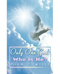 Only One God Who Is He?:  Who Is He? - John T. Wylie