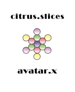 citrus. slices - Avatar. X