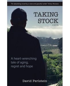 TAKING STOCK a novel - David Perlstein