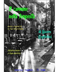 Il cammino nella tempesta storie e misteri di un bar di provincia - Mauro Guglielmi