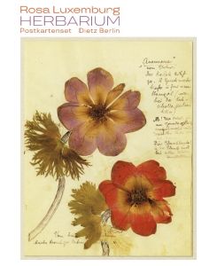 Herbarium Postkartenset 10 Motive aus Rosa Luxemburgs Herbarium - Rosa Luxemburg
