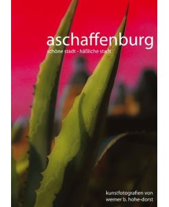 Aschaffenburg Schöne Stadt - häßliche Stadt - Werner Hohe-Dorst