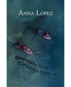 Englisch Lernen mit Unexpected Circumstance Stufe B2 Zweisprachig  mit Englisch-deutscher Übersetzung - Anna Lopez
