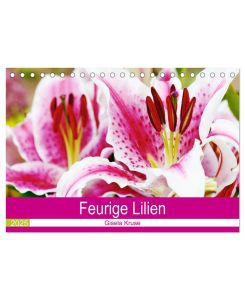 Feurige Lilien (Tischkalender 2025 DIN A5 quer), CALVENDO Monatskalender Verschiedene Lilienarten versprühen ein Feuerwerk der Farben - Gisela Kruse