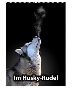 Im Husky-Rudel (Wandkalender 2025 DIN A2 hoch), CALVENDO Monatskalender Eine charakteristische Bilderserie, die das friedvolle und spielerische Zusammenleben von Huskies dokumentiert. - Sophie Luther
