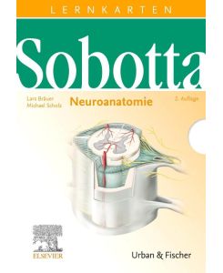 Sobotta Lernkarten Neuroanatomie Neuroanatomie - Lars Bräuer, Michael Scholz