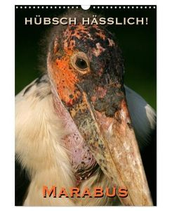 Hübsch hässlich! Marabus (Wandkalender 2025 DIN A3 hoch), CALVENDO Monatskalender Mrabus - Fasziniernde Charaktervögel - Martina Berg