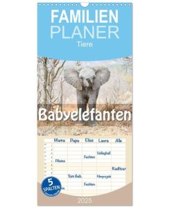 Familienplaner 2025 - Babyelefanten mit 5 Spalten (Wandkalender, 21 x 45 cm) CALVENDO Grosse Schlappohren und unbändige Energiebündel, die kleinen 