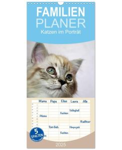 Familienplaner 2025 - Katzen im Porträt / Geburtstagskalender mit 5 Spalten (Wandkalender, 21 x 45 cm) CALVENDO Faszinierende Nahaufnahmen der Stubentiger - Jennifer Chrystal