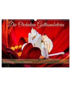 Die Orchideen Gottesanbeterin (Wandkalender 2025 DIN A3 quer), CALVENDO Monatskalender Die faszinierende Welt der Orchideen Gottesanbeterin - Roland Brack