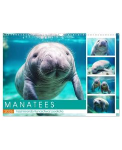 Manatees. Faszinierende Rundschwanzseekühe (Wandkalender 2026 DIN A3 quer), CALVENDO Monatskalender Die sanften Riesen des Meeres in schönen Bildern - Rose Hurley