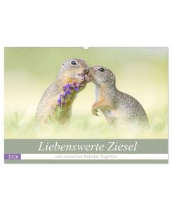 Liebenswerte Ziesel - vom Aussterben bedrohte Nagetiere (Wandkalender 2026 DIN A2 quer), CALVENDO Monatskalender: Bedrohte Ziesel liebevoll portraitiert. (CALVENDO Tiere)