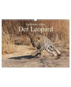Faszination Afrika: Der Leopard (Wandkalender 2026 DIN A3 quer) CALVENDO Monatskalender