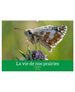 La vie de nos prairie, les papillons (Calendrier mural 2026 DIN A2 vertical), CALVENDO calendrier mensuel Promenade dans nos prairies - Alain Gaymard