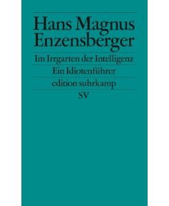 Im Irrgarten der Intelligenz Ein Idiotenführer - Hans Magnus Enzensberger