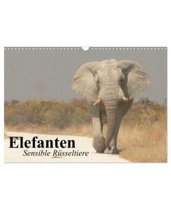 Elefanten. Sensible Rüsseltiere (Wandkalender 2027 DIN A3 quer), CALVENDO Monatskalender Die starken und sensiblen Dickhäuter in Afrika - Elisabeth Stanzer