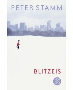 Blitzeis Erzählungen - Peter Stamm