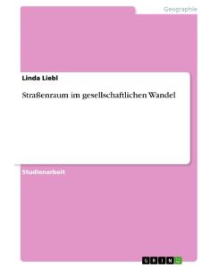 Straßenraum im gesellschaftlichen Wandel - Linda Liebl