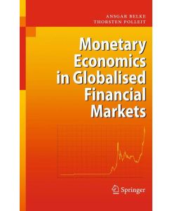 Monetary Economics in Globalised Financial Markets - Thorsten Polleit, Ansgar Belke
