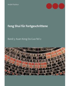 Feng Shui für Fortgeschrittene Band 5: Xuan Kong Da Gua Teil 2 - André Pasteur