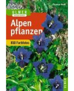 Alpenpflanzen - Thomas Muer, Oskar Angerer