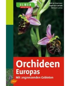 Ulmer Naturführer Orchideen Europas Mit angrenzenden Gebieten - Helmut Baumann, Siegfried Künkele, Richard Lorenz