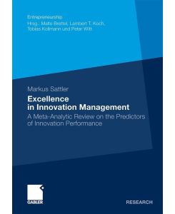 Excellence in Innovation Management A Meta-Analytic Review on the Predictors of Innovation Performance - Markus Sattler