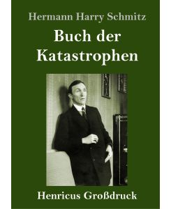 Buch der Katastrophen (Großdruck) - Hermann Harry Schmitz