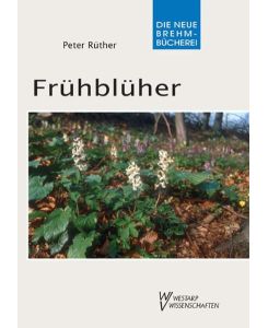 Frühblüher - Peter Rüther