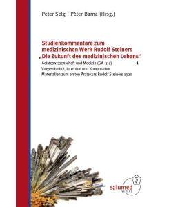 Studienkommentare zum medizinischen Werk Rudolf Steiners 