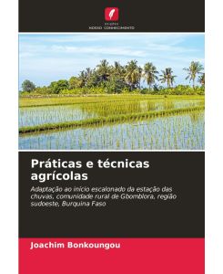 Práticas e técnicas agrícolas Adaptação ao início escalonado da estação das chuvas, comunidade rural de Gbomblora, região sudoeste, Burquina Faso - Joachim Bonkoungou