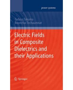 Electric Fields in Composite Dielectrics and their Applications - Boonchai Techaumnat, Tadasu Takuma